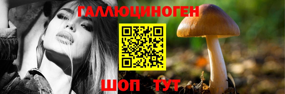 Белебей  купить наркотик  Вход с VPN  Псилоцибиновые грибы мицелий 